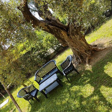 Apartament Magnolia House Scanzano Jonico Zewnętrze zdjęcie