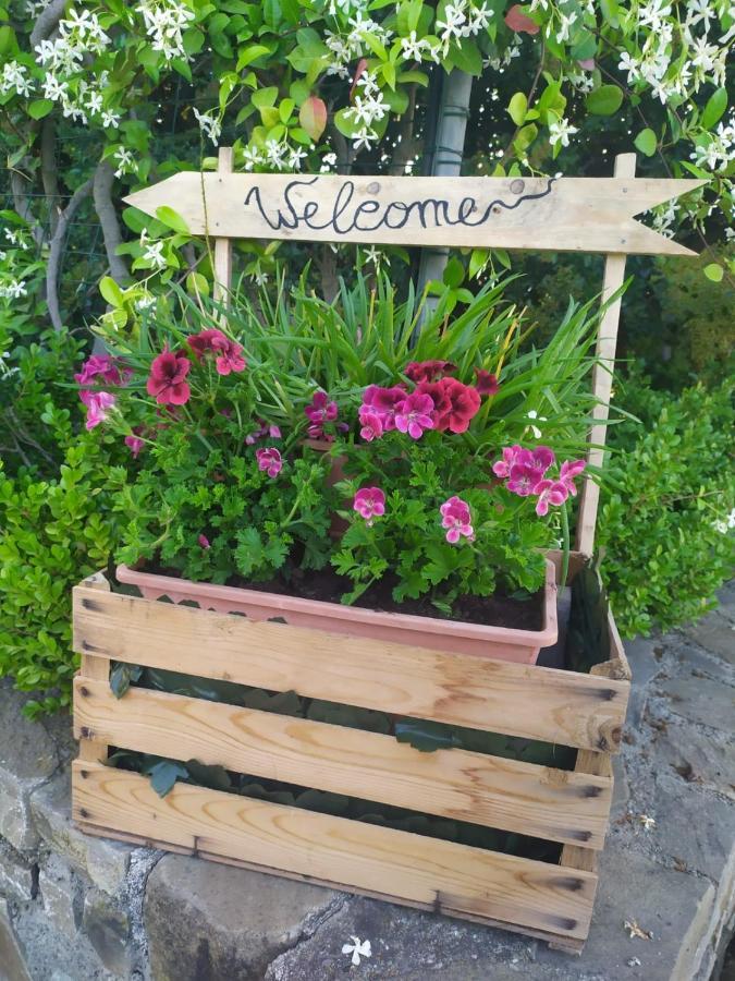 Apartament Magnolia House Scanzano Jonico Zewnętrze zdjęcie
