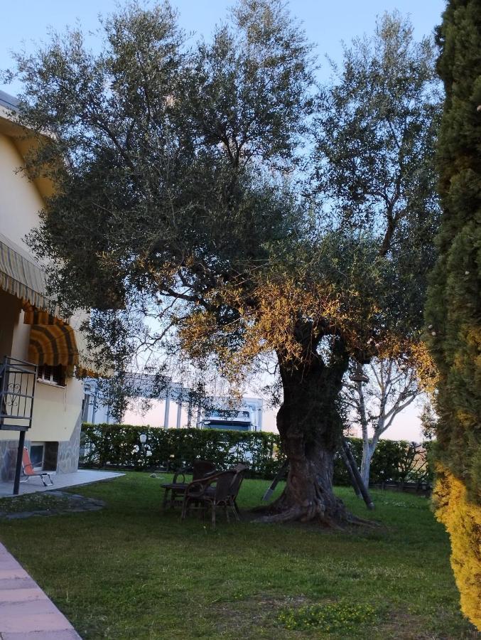 Apartament Magnolia House Scanzano Jonico Zewnętrze zdjęcie