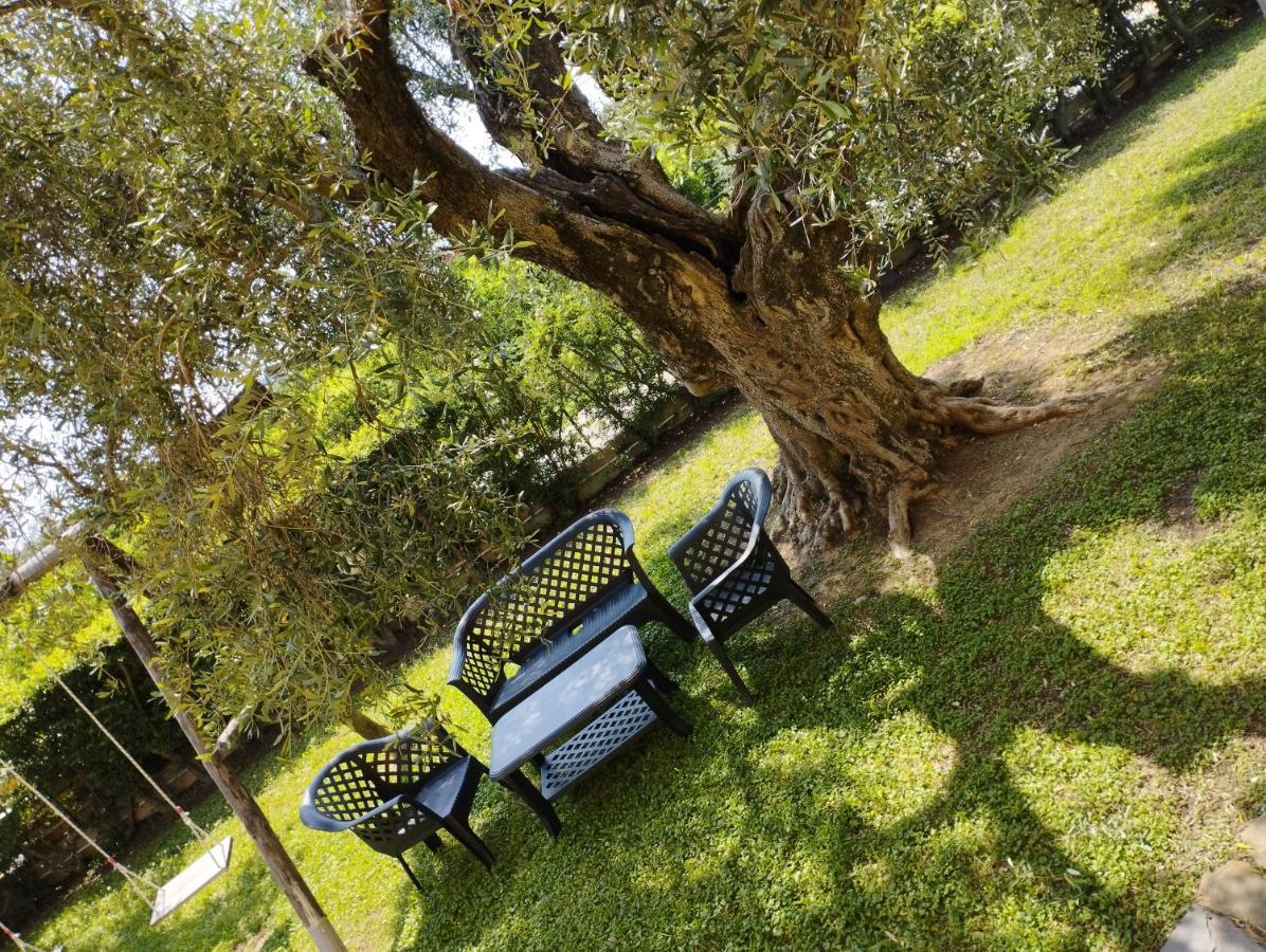 Apartament Magnolia House Scanzano Jonico Zewnętrze zdjęcie